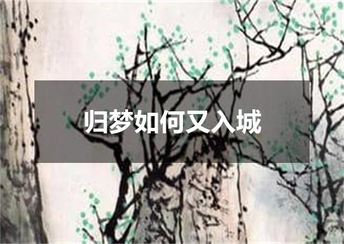 归梦如何又入城