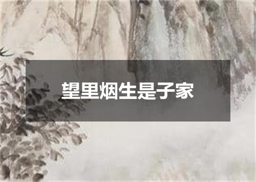 望里烟生是子家