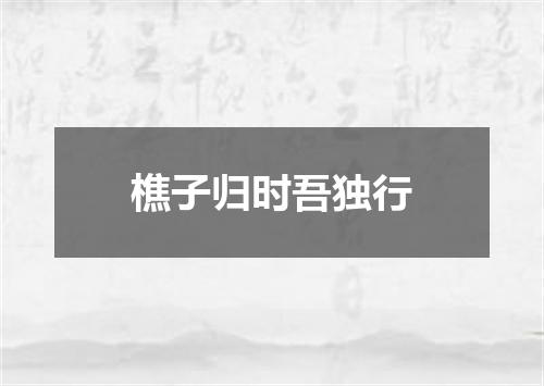 樵子归时吾独行