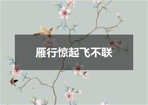 雁行惊起飞不联