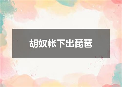 胡奴帐下出琵琶