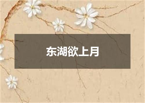 东湖欲上月