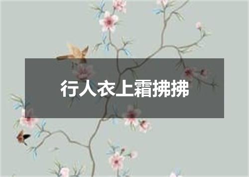 行人衣上霜拂拂