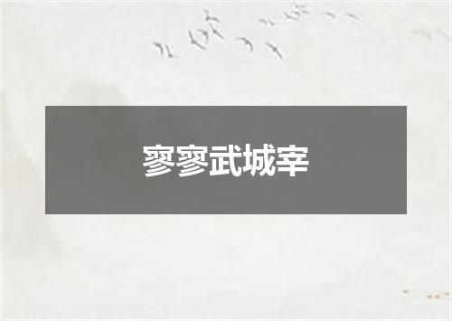寥寥武城宰