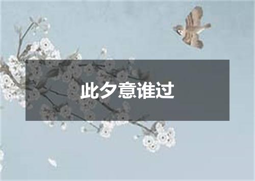 此夕意谁过