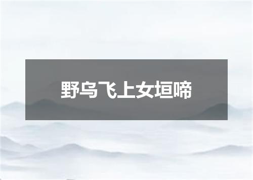 野乌飞上女垣啼