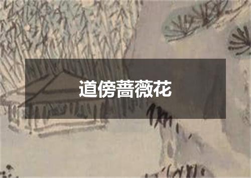 道傍蔷薇花