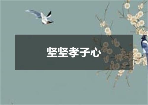坚坚孝子心