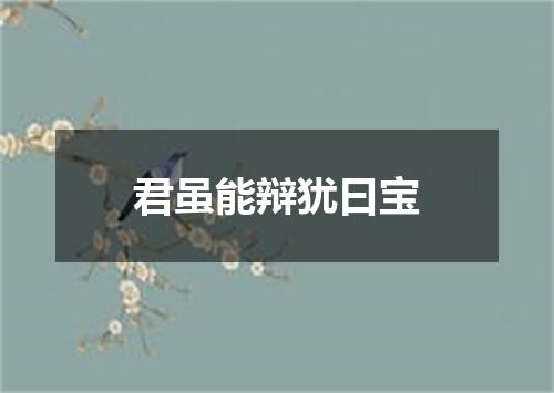 君虽能辩犹曰宝