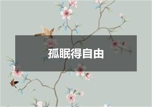 孤眠得自由