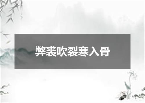 弊裘吹裂寒入骨