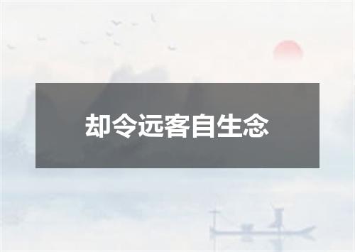却令远客自生念