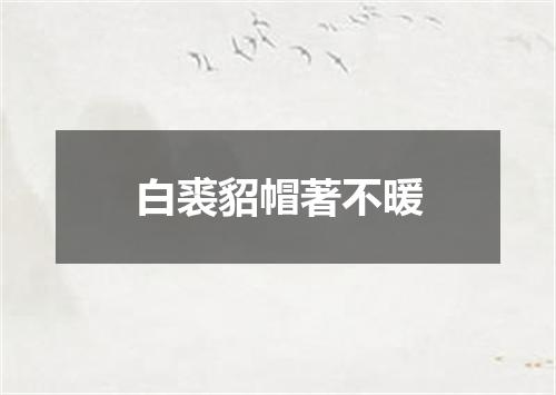 白裘貂帽著不暖