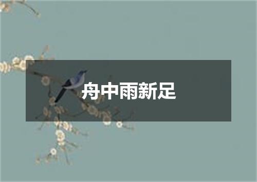 舟中雨新足