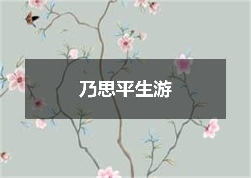 乃思平生游