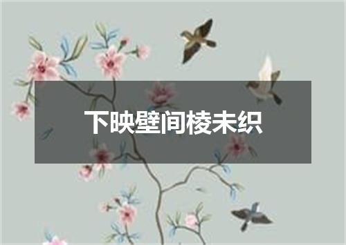 下映壁间棱未织