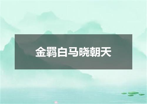 金羁白马晓朝天