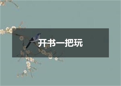开书一把玩