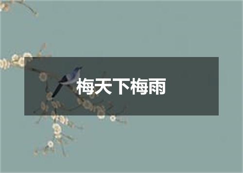梅天下梅雨
