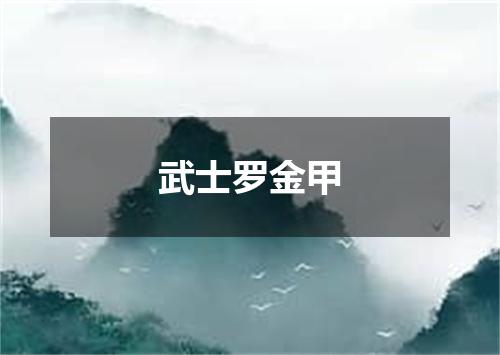 武士罗金甲
