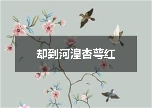 却到河湟杏萼红
