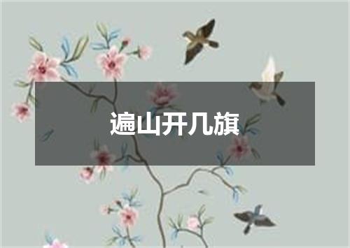 遍山开几旗