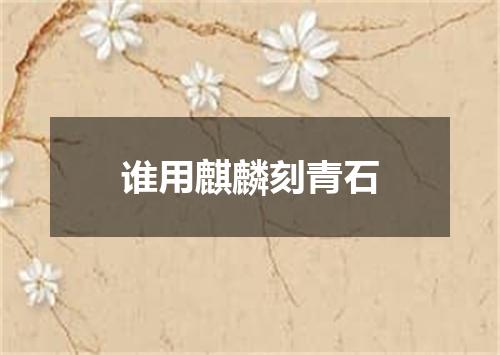 谁用麒麟刻青石