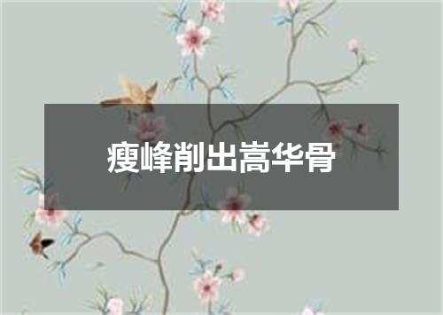 瘦峰削出嵩华骨