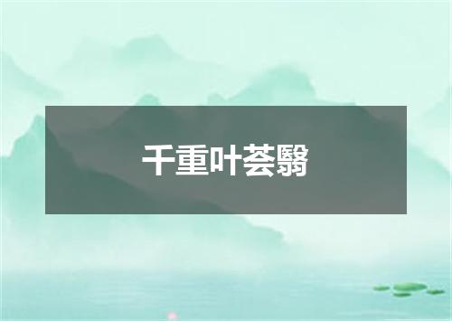 千重叶荟翳