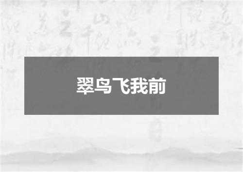 翠鸟飞我前
