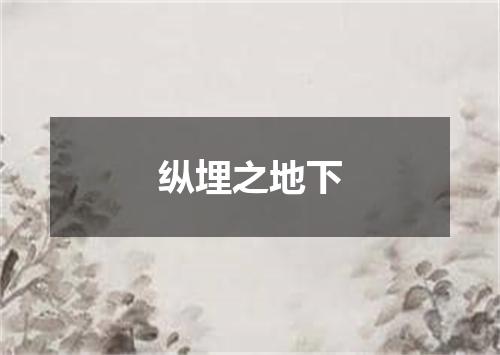 纵埋之地下