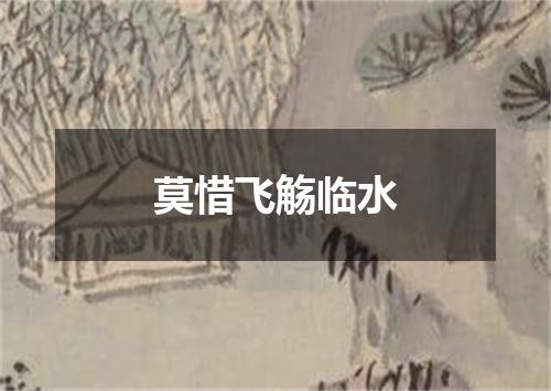 莫惜飞觞临水