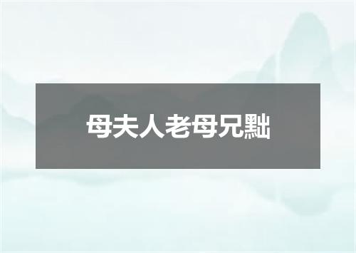 母夫人老母兄黜