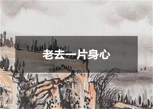 老去一片身心