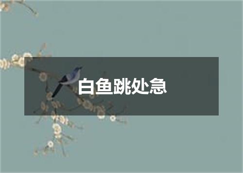 白鱼跳处急
