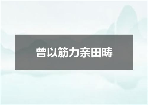 曾以筋力亲田畴