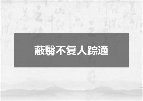 蔽翳不复人踪通