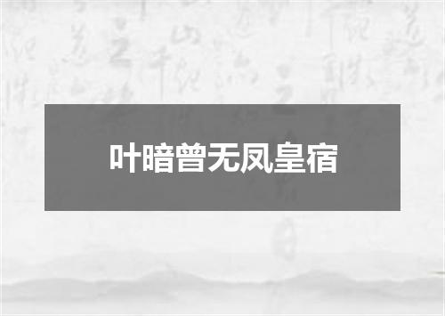 叶暗曾无凤皇宿