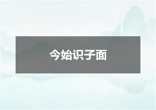 今始识子面