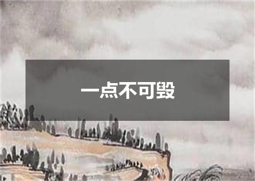 一点不可毁
