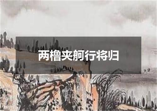 两橹夹舸行将归