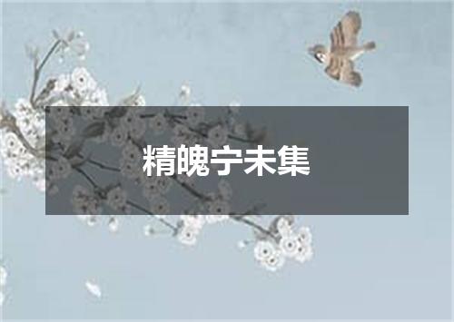 精魄宁未集