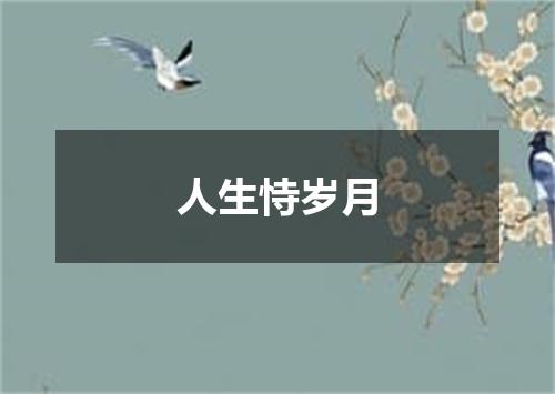 人生恃岁月