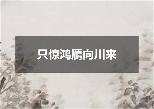 只惊鸿鴈向川来