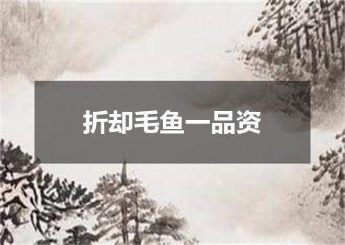 折却毛鱼一品资
