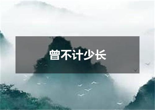 曾不计少长