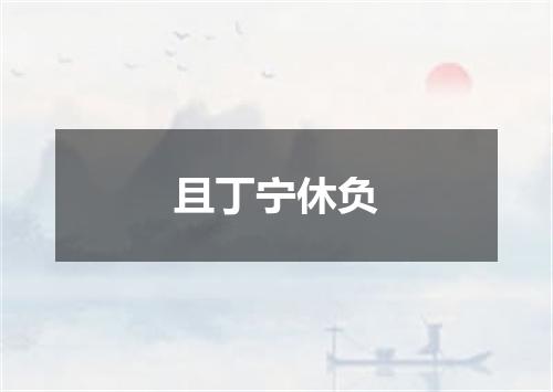 且丁宁休负