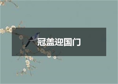 冠盖迎国门