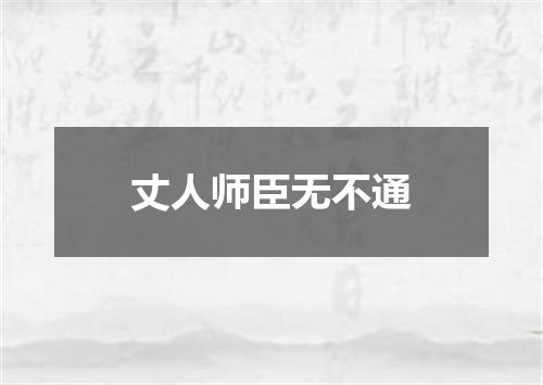 丈人师臣无不通