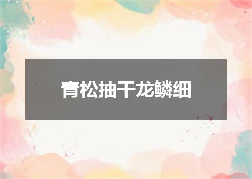 青松抽干龙鳞细